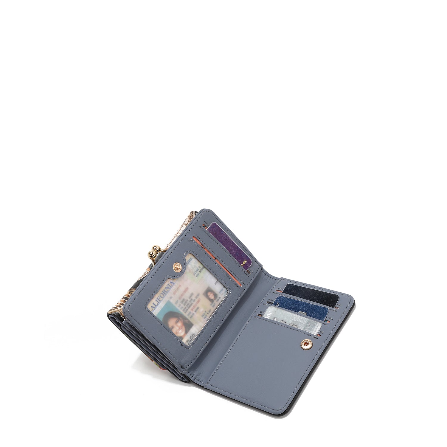 Trifold Agustina portfolio (Nail Polish)