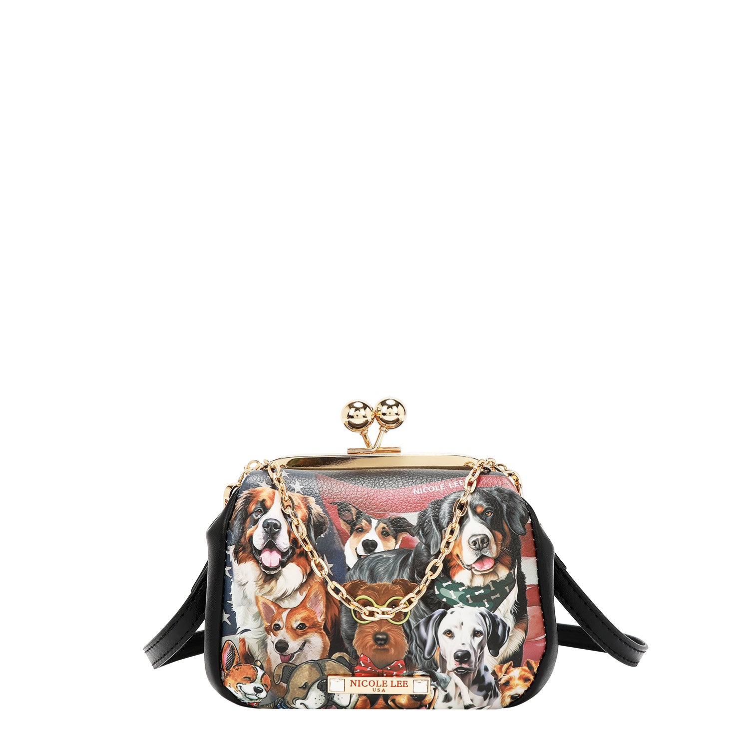 Kiss Lock Crossbody Mini Bag with Embellishments and Includes