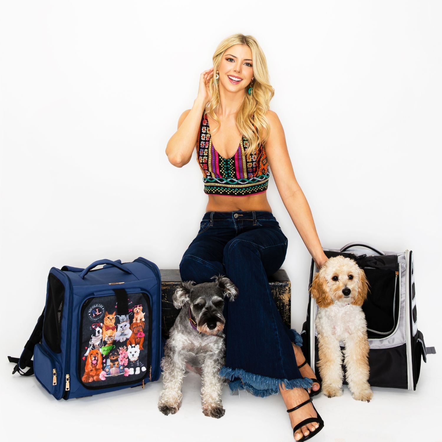 MOCHILA TRANSPORTADORA DE ANIMAIS DE ESTIMAÇÃO EXPANSÍVEL