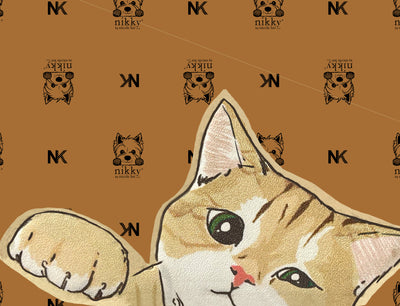 <tc>Nikky Finds Meow</tc>